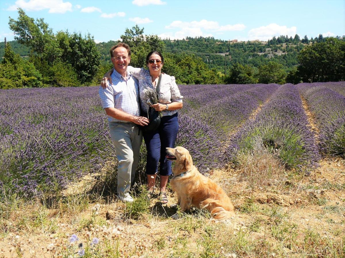 Santolines En Provence Bed and Breakfast Piolenc Εξωτερικό φωτογραφία