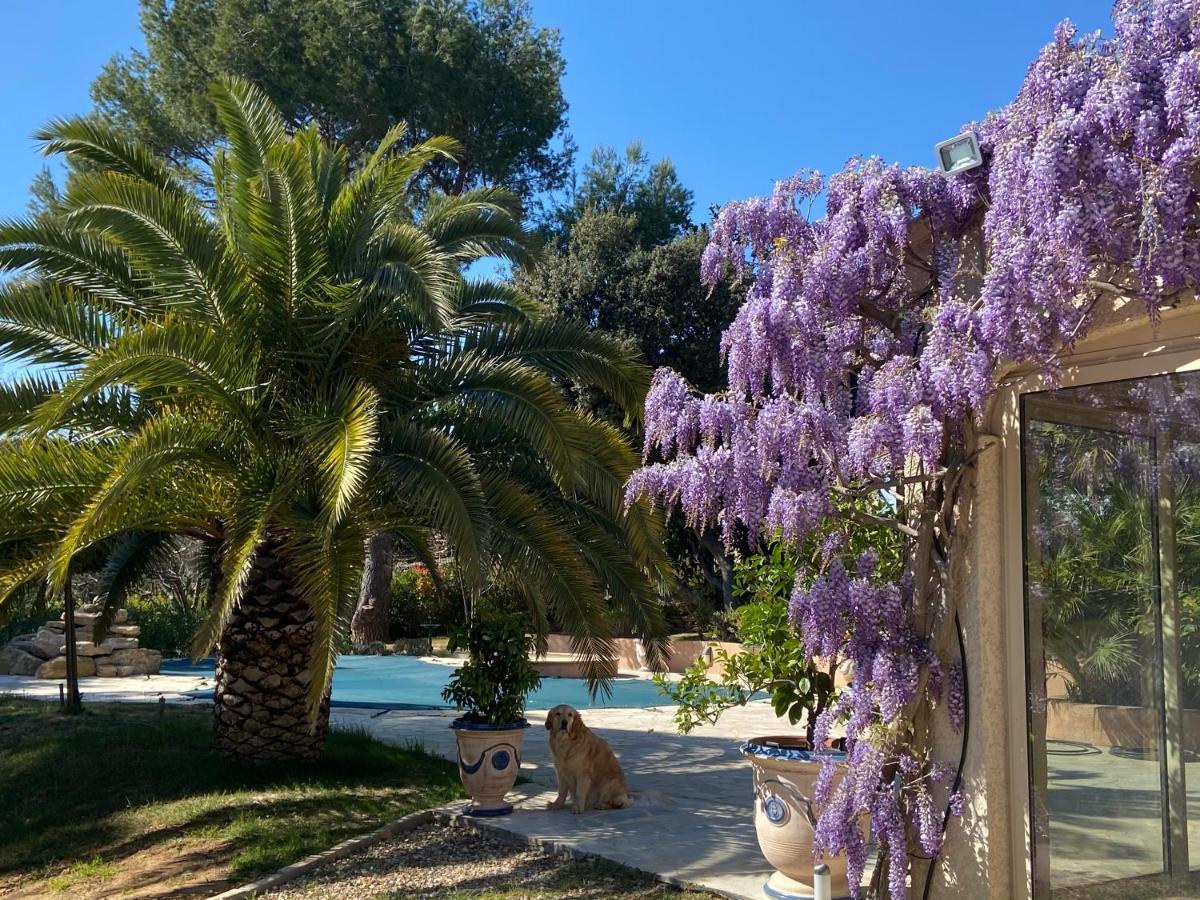 Santolines En Provence Bed and Breakfast Piolenc Εξωτερικό φωτογραφία
