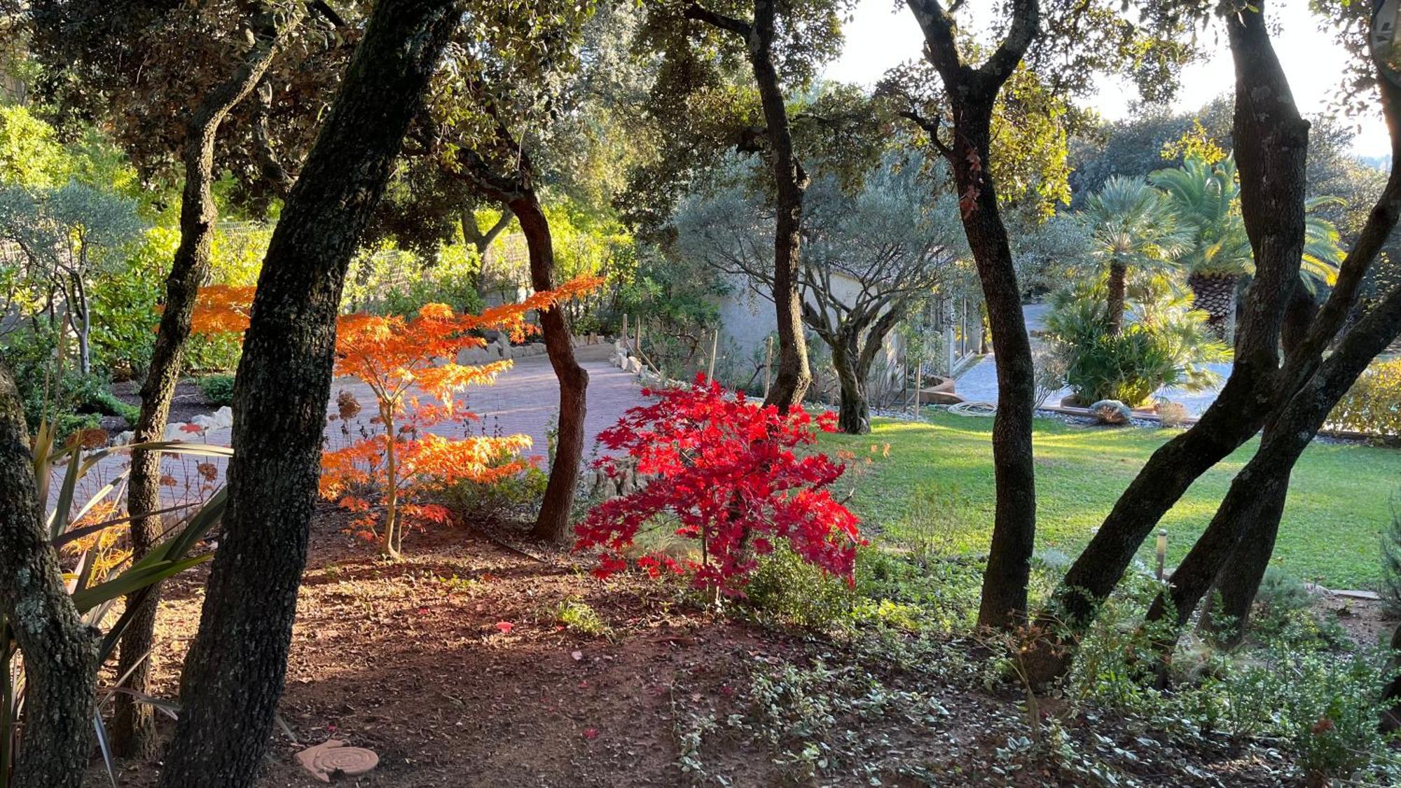 Santolines En Provence Bed and Breakfast Piolenc Εξωτερικό φωτογραφία